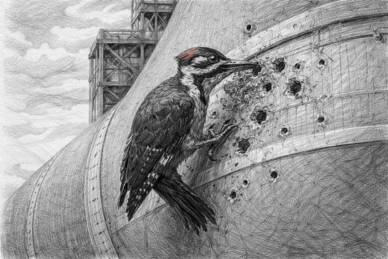 Idle Hands and Sharp Beaks — 2 Thessalonians 3:11